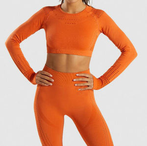 Women Seamless Yoga Sets High Waist Gym Mesh Leggings Shirts Suit Long Sleeve Fitness Workout Sports Running Thin Yoga Sets
