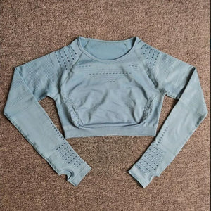 Women Seamless Yoga Sets High Waist Gym Mesh Leggings Shirts Suit Long Sleeve Fitness Workout Sports Running Thin Yoga Sets