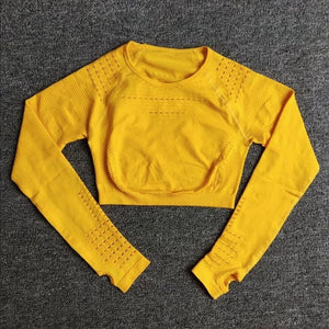 Women Seamless Yoga Sets High Waist Gym Mesh Leggings Shirts Suit Long Sleeve Fitness Workout Sports Running Thin Yoga Sets