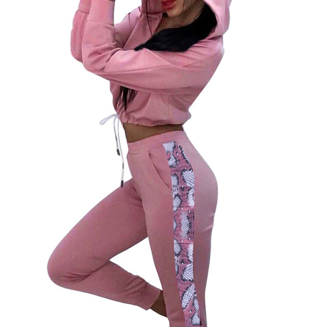 Women Sports Sets Long Sleeve Autumn Fashion Tracksuit Sweatsuits Gym Fitness Casual Jogging Sweatpants Zipper Suit